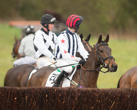 Race 5 - Open Maiden (69 of 147).jpg
