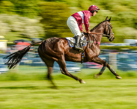 Race 7 - Div 1 - Open Maiden (25 of 94).jpg