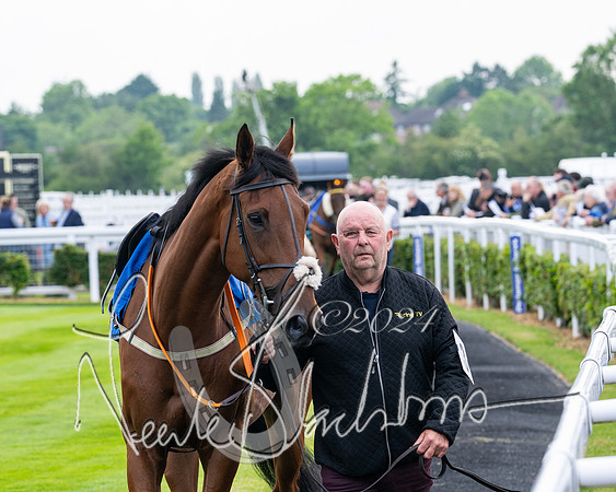 Race 1 - Restricted Novices Hunter Chase (29 of 145)