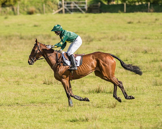 Race 6 - Open Maiden Race (26 of 71).jpg