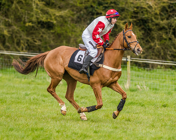 Race 7 - PPORA Members Conditions (48 of 192)