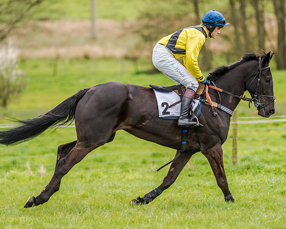 Race 6 - Intermediate Race (32 of 143).jpg