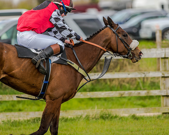 Pony Race 3 (47 of 78).jpg
