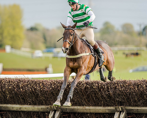 Race 8 - Hunt Challenge (33 of 96).jpg