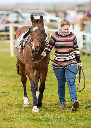 Pony Race 2 - 148cm -6