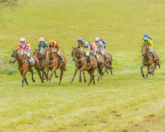 Race 5 - Restricted Race (74 of 146).jpg