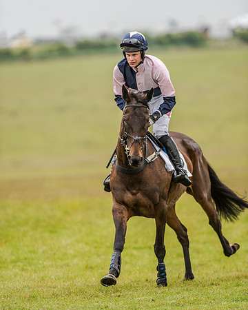 Race 2 - Open Maiden Race (7 of 80).jpg
