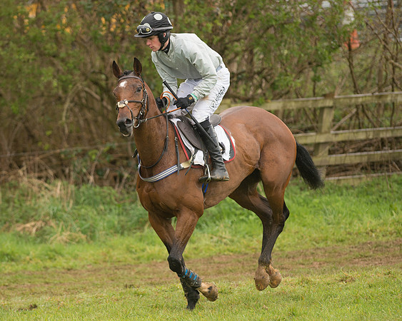 Race 5 - Open Maiden (39 of 147).jpg