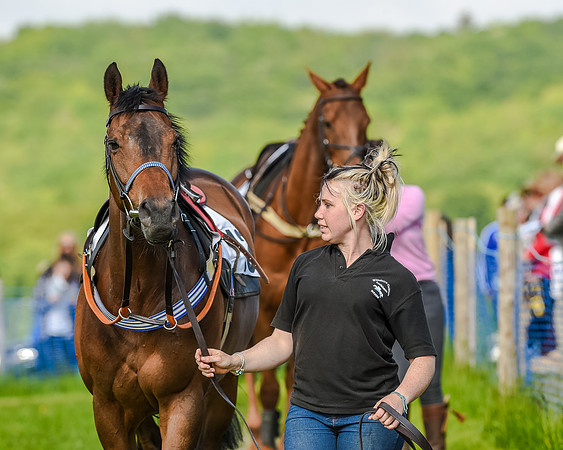 Race 5 - The Ladies Open  (15 of 133).jpg