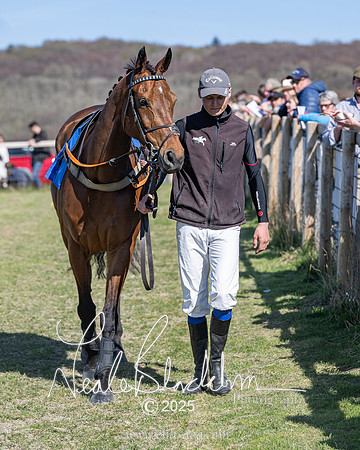 Race 5 - The restricted (14 of 113)