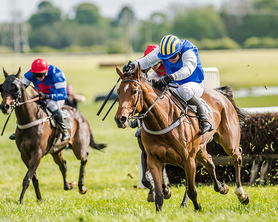 Race 5 - Division 2 - Restricted Race (69 of 105).jpg
