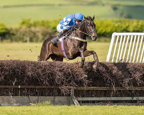 Race 6 - Open Maiden Race (65 of 71).jpg