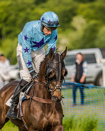 Race 7 - Div 2 - Open Maiden (66 of 163).jpg