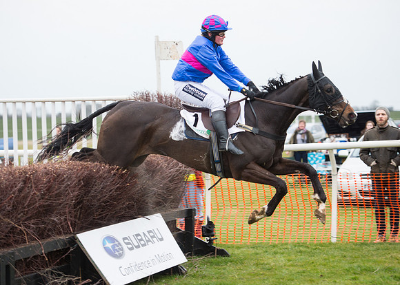 Race 7 - PPORA Novice Riders-66