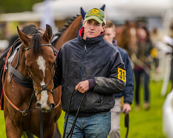Race 2 - Open Maiden  (7 of 170).jpg