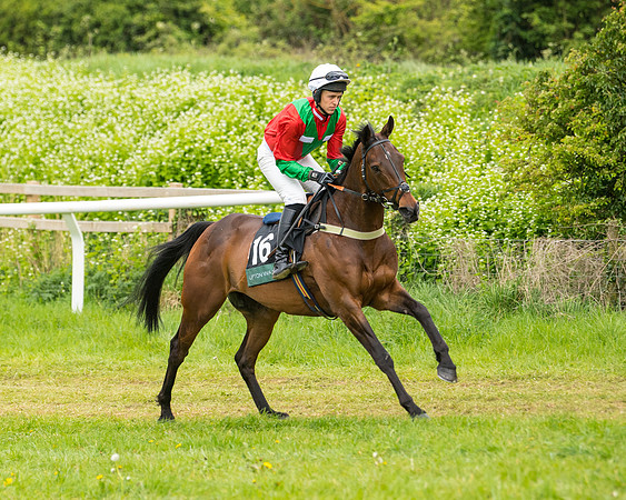Race 7 - Open Maiden  (12 of 106)