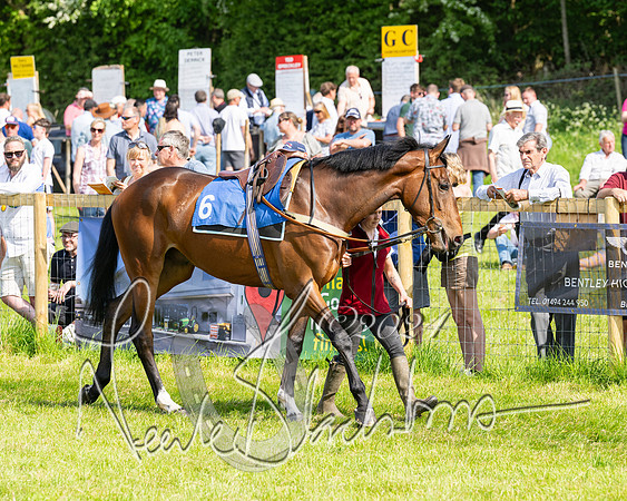 Race 5  - Maiden race 2m5F Div-1 (37 of 197)