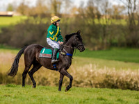 Pony Races (15 of 127).jpg