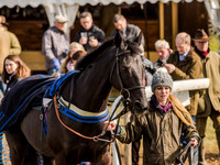 Race 5 - The Southern Grand national (8 of 96).jpg