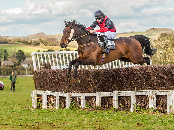 Race 6 - The Restricted Race [Nov-Vet] (41 of 84).jpg