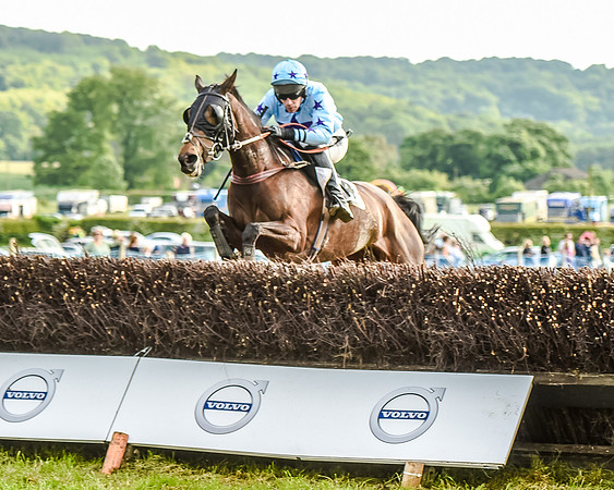 Race 7 - Div 2 - Open Maiden (98 of 163).jpg
