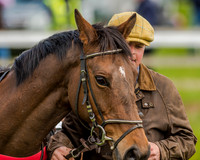 Pony Race 3 (8 of 78).jpg