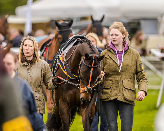 Race 2 - Open Maiden  (11 of 170).jpg