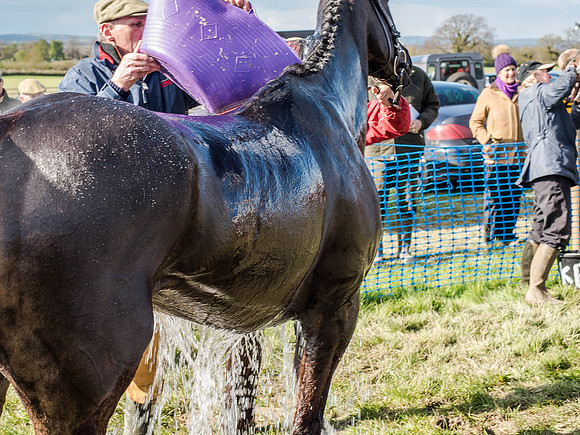 Race 5 - The Southern Grand national (82 of 96).jpg