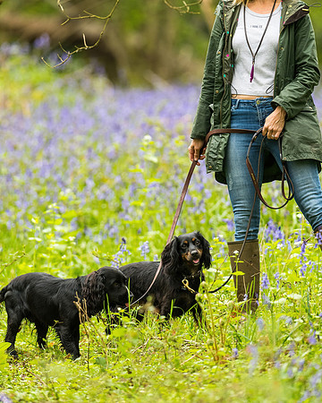 Anne BnB  (26 of 227)