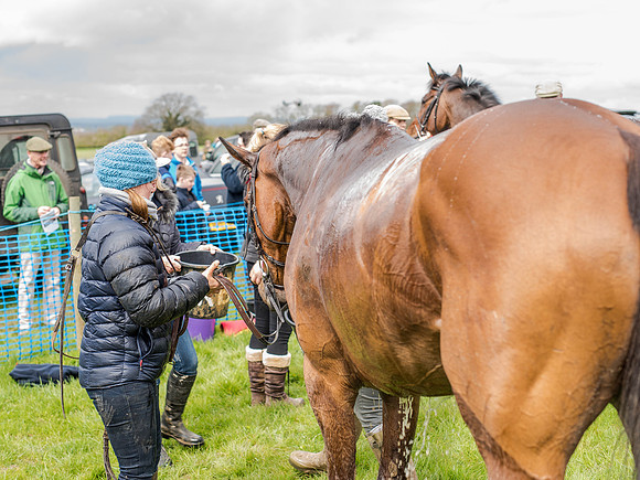 Race 1 - Confined Hunts (113 of 118).jpg