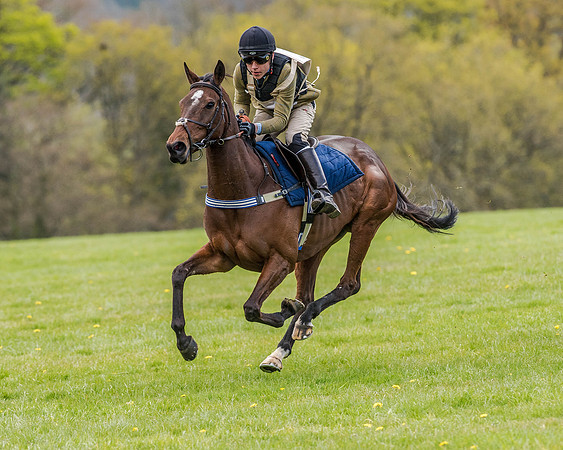 Race 0 - Hunt Scurry (12 of 27).jpg