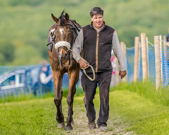 Race 7 - Div 2 - Open Maiden (14 of 163).jpg