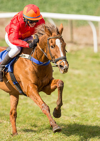 Pony Race 2 - 148cm  (32 of 49).jpg