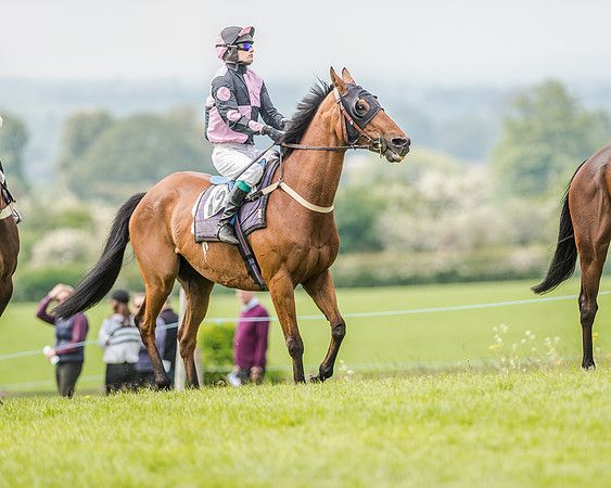 Race 2 - PPORA Members Novice Riders  (38 of 112).jpg