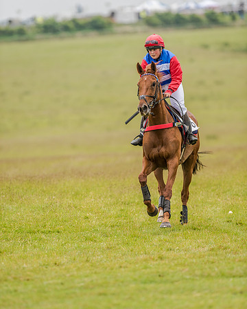 Race 2 - Open Maiden Race (10 of 80).jpg