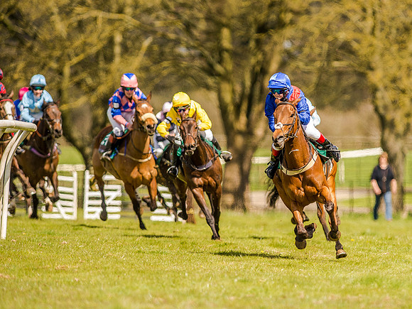 Pony Races (99 of 127).jpg