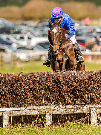 Race 4 - Ladies Open [Nov-Vet] (41 of 82)-2.jpg