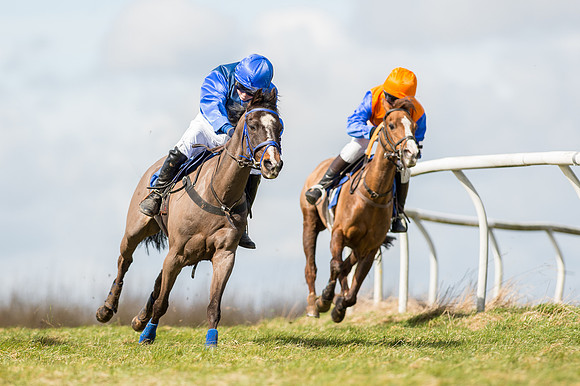 Pony Race 1 - 138cm  (17 of 57).jpg