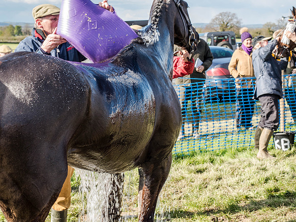 Race 5 - The Southern Grand national (83 of 96).jpg