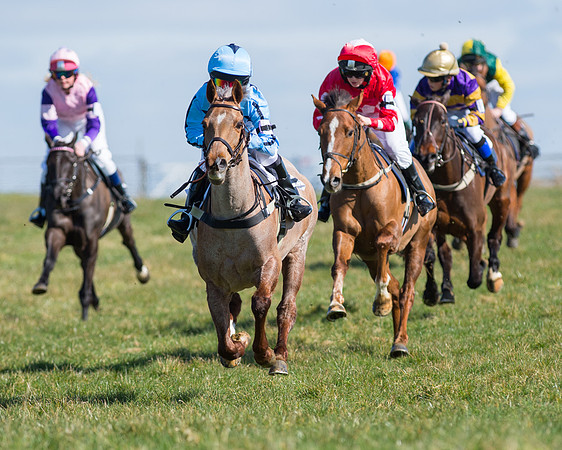 Oakley Ponies (20 of 96).jpg