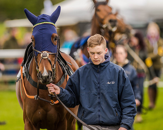 Race 2 - Open Maiden  (29 of 170).jpg