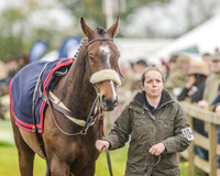 Race 3 - Confined Hunts (15 of 122).jpg