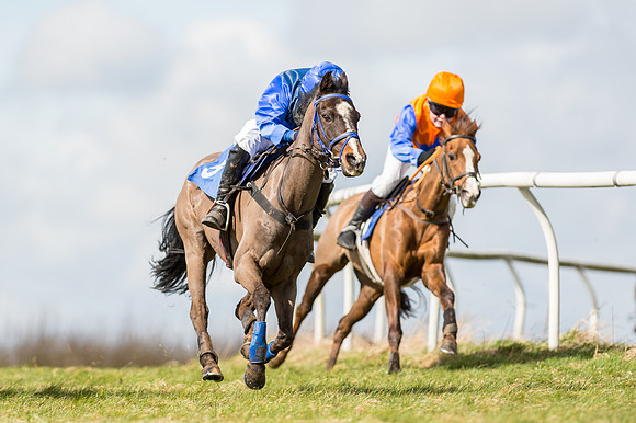 Pony Race 1 - 138cm  (19 of 57).jpg