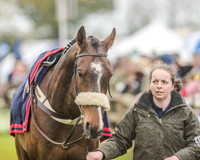 Race 3 - Confined Hunts (16 of 122).jpg