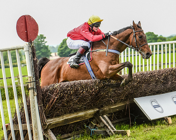 Race 2 - PPORA Members Novice Riders  (75 of 112).jpg