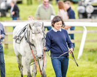 Pony Race 3 (5 of 56).jpg