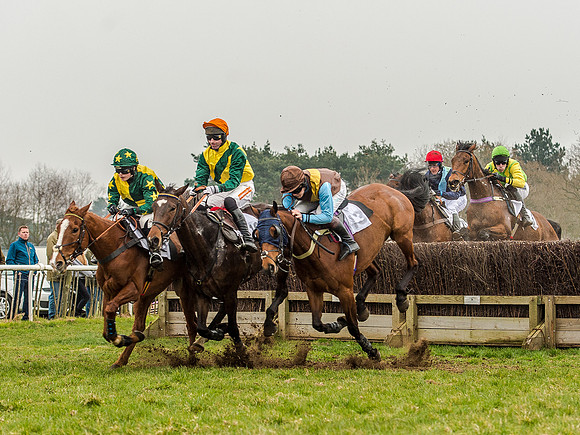 Race 5 - Open Maiden Division 2 (61 of 112).jpg