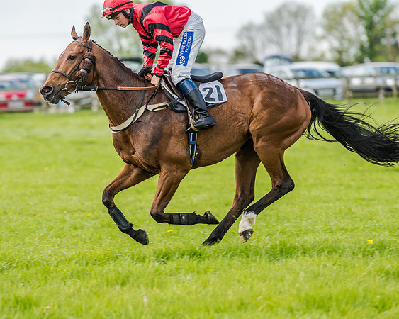 Race 4 - PPORA Novice Riders (80 of 196).jpg