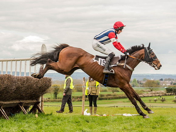Race 3 - Young Horse maiden 2m5f (60 of 124).jpg