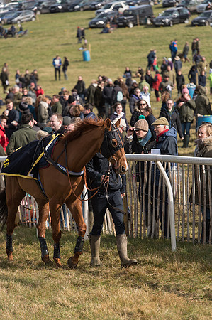 Race 4 - Novice and Veteran Riders race (4 of 46).jpg
